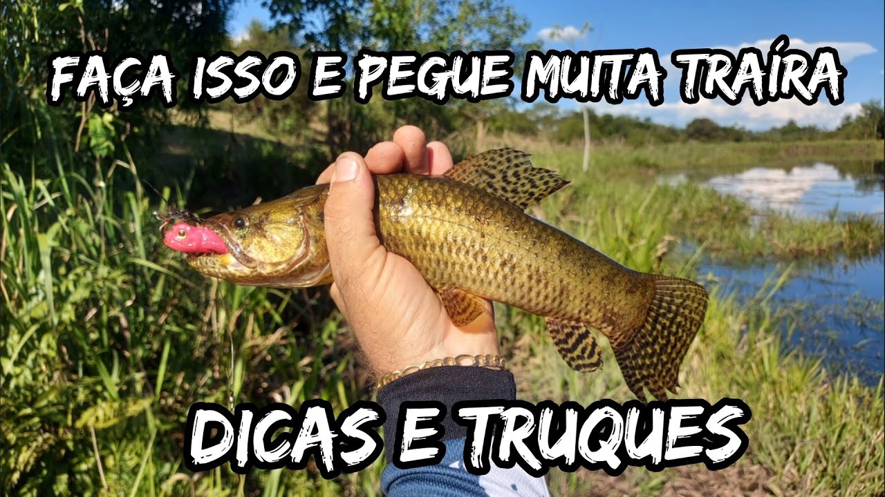 Aprenda como pescar MUITAS TRAÍRAS usando SAPINHO artificial e DICAS