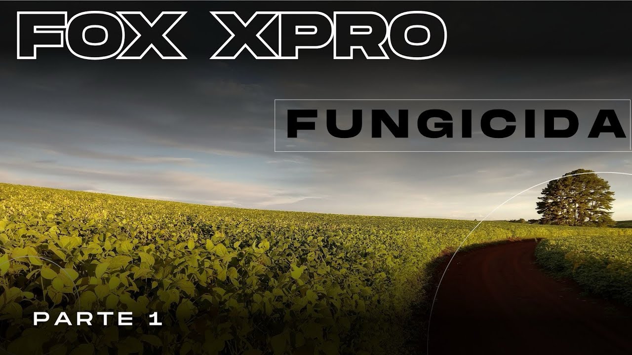 Fox Xpro em soja e outras culturas, o que penso deste fungicida no controle de doenças - PARTE 1