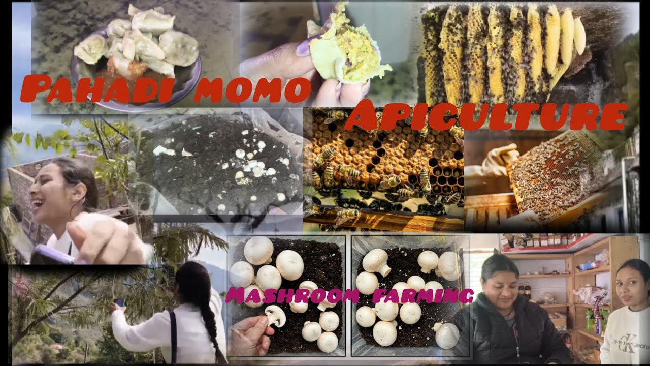 नेहा गलती से लटक गई आंवले के पेड़ में😭||apiculture||mashroom farming||uttarakhand #vlogs #fyp 