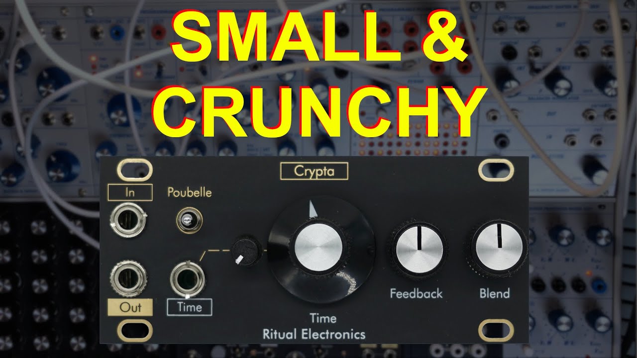 A 1U Delay with character - Crypta by Ritual Electronics - Demo