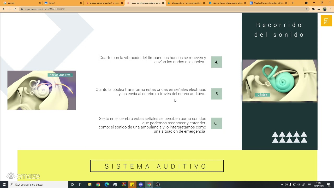 Video Sistema Auditivo