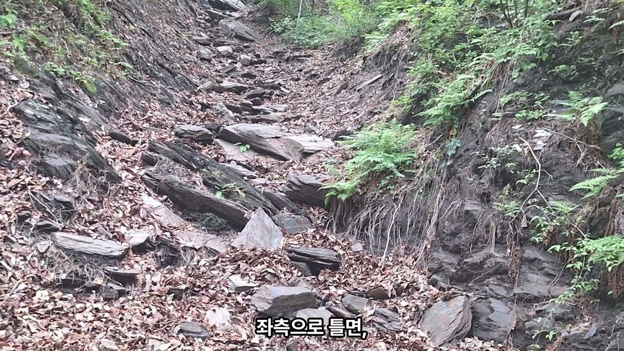 대전 식장산 독수리봉(1)