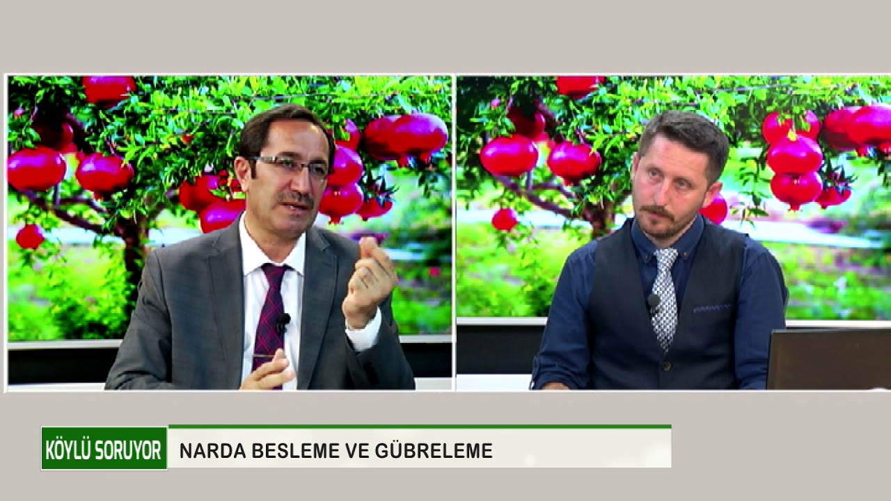 K&Ouml;YL&Uuml; SORUYOR | NARDA BESLEME VE G&Uuml;BRELEME - 1.B&ouml;l&uuml;m