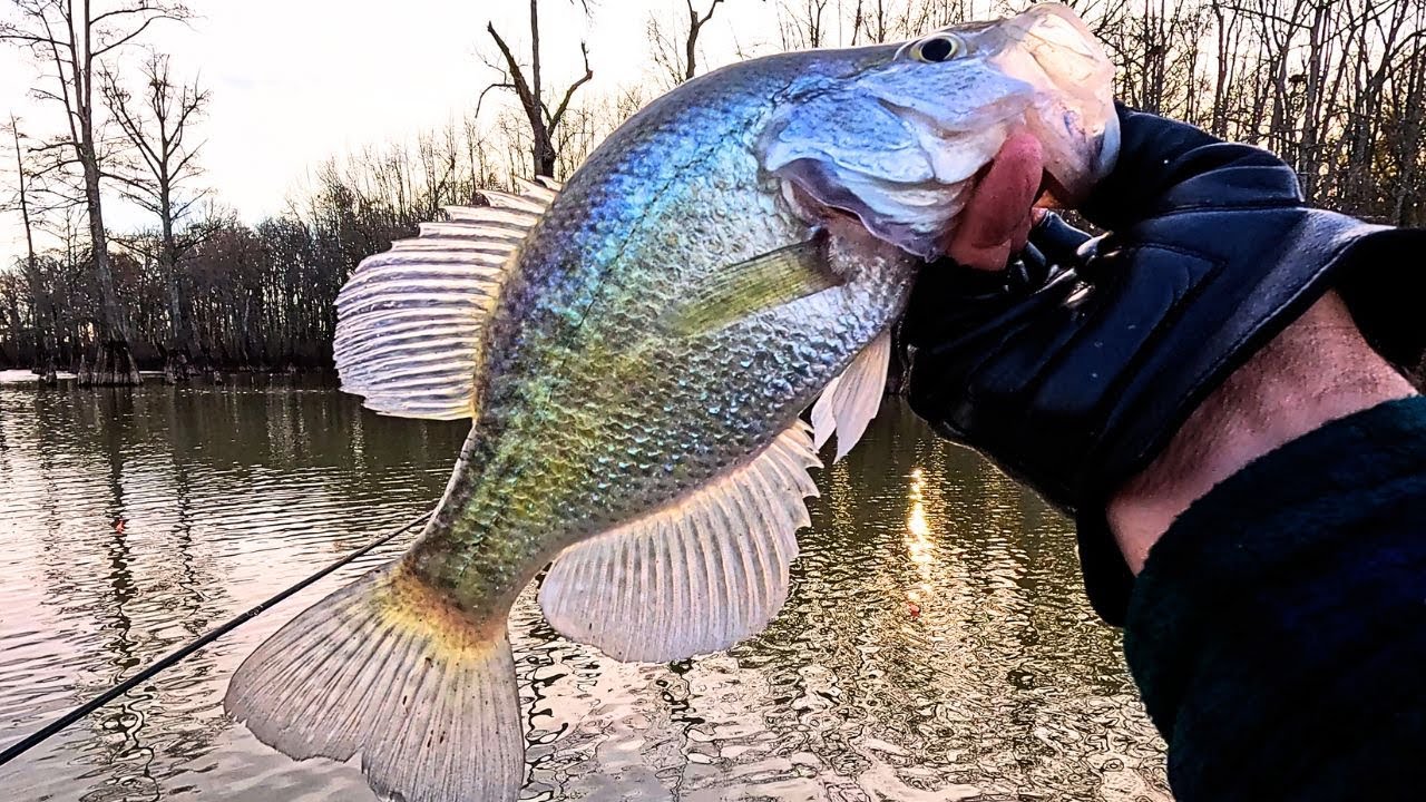 Cold Water Crappie Fishing❗ Tips & Tricks