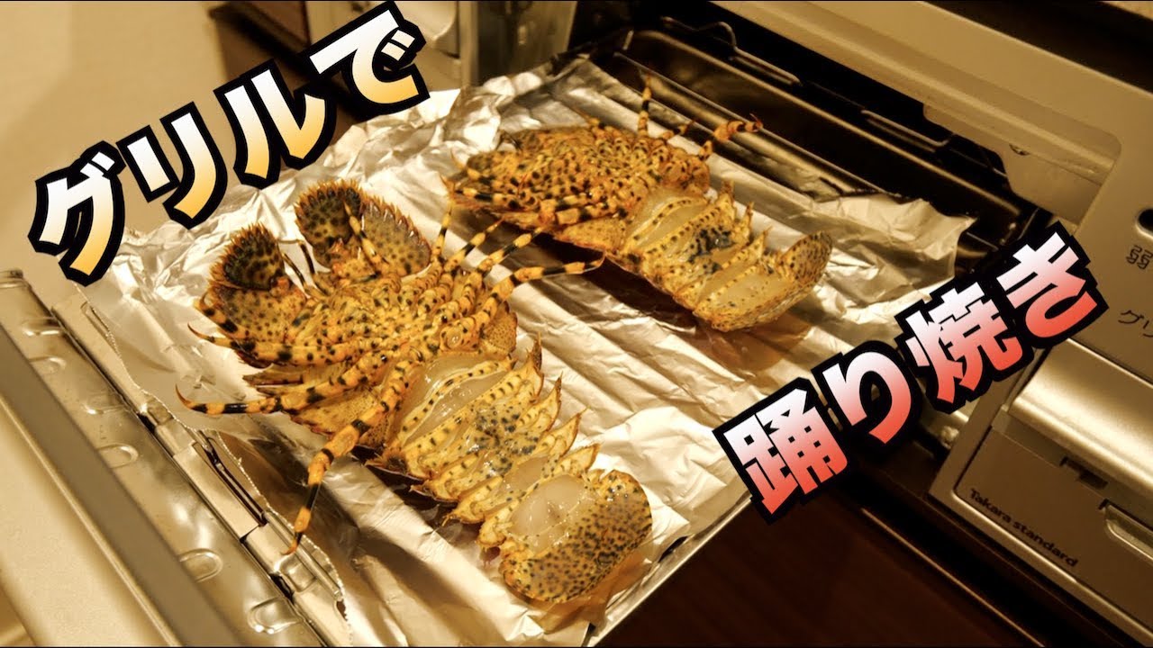 大惨事！！元気なゾウリエビをグリルで踊り焼きしたらグリルの中が大変なことになった。。。