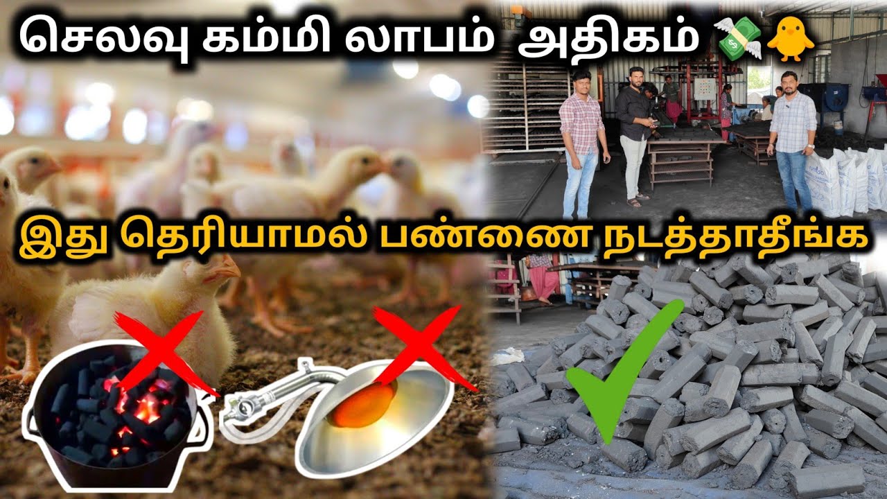 🐥 Brooding க்கு இது வேற லெவல் Result வரும் 💯🔥|| Charcoal Briquettes💡