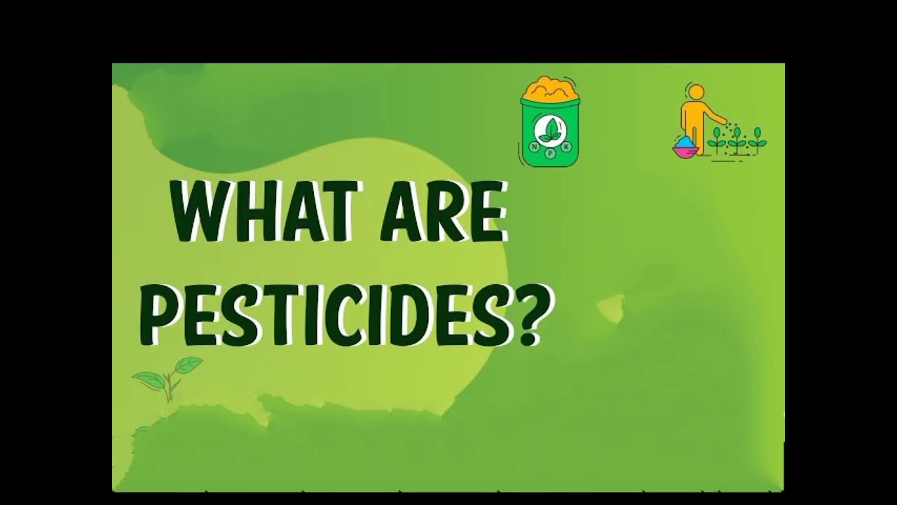 class 12 Applied chemistry// Drugs// Pesticides// Chemistry//small topic