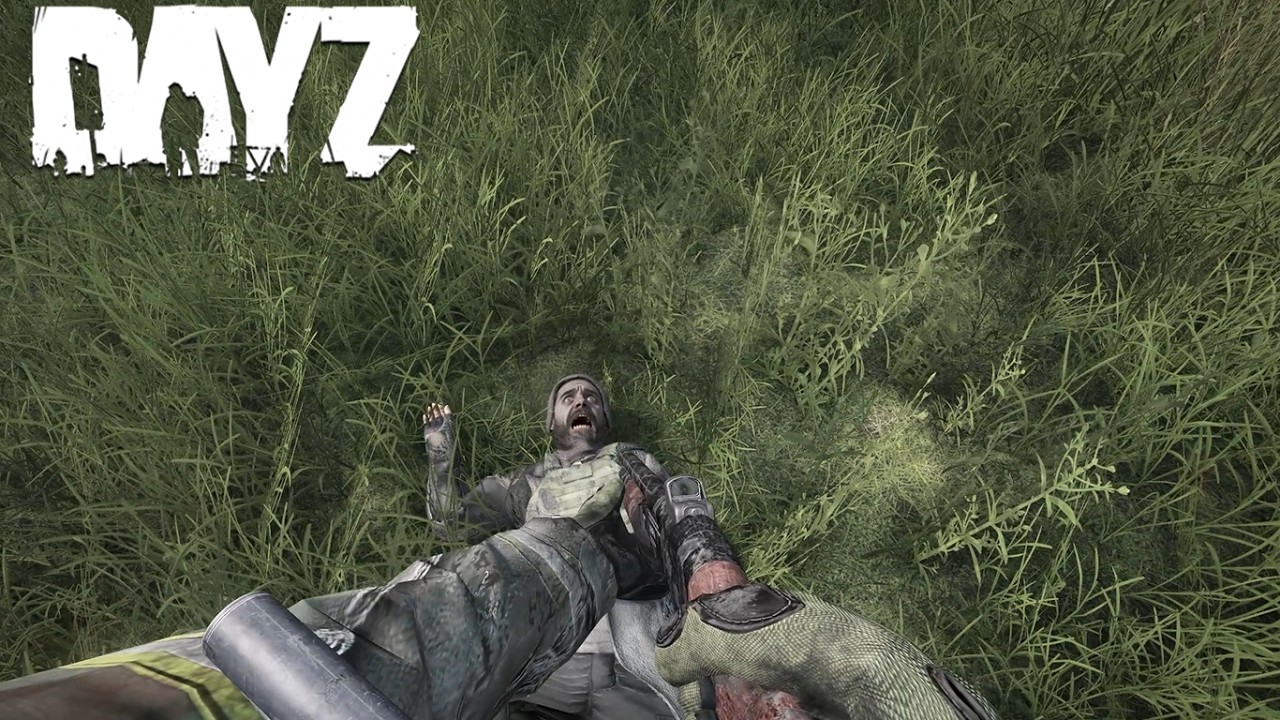 Revenge Yourself - Dayz