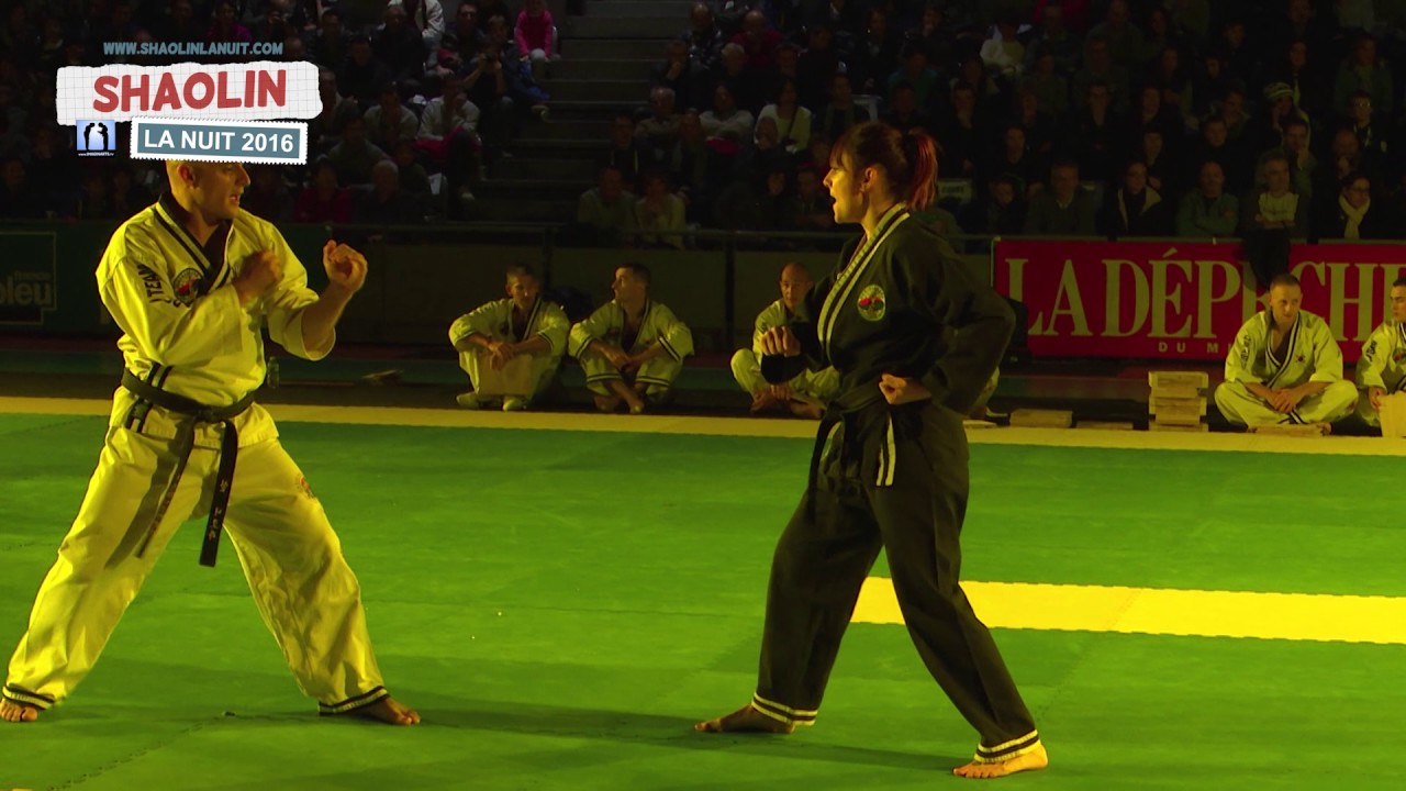 Hapkido - Nuit du Shaolin 2016