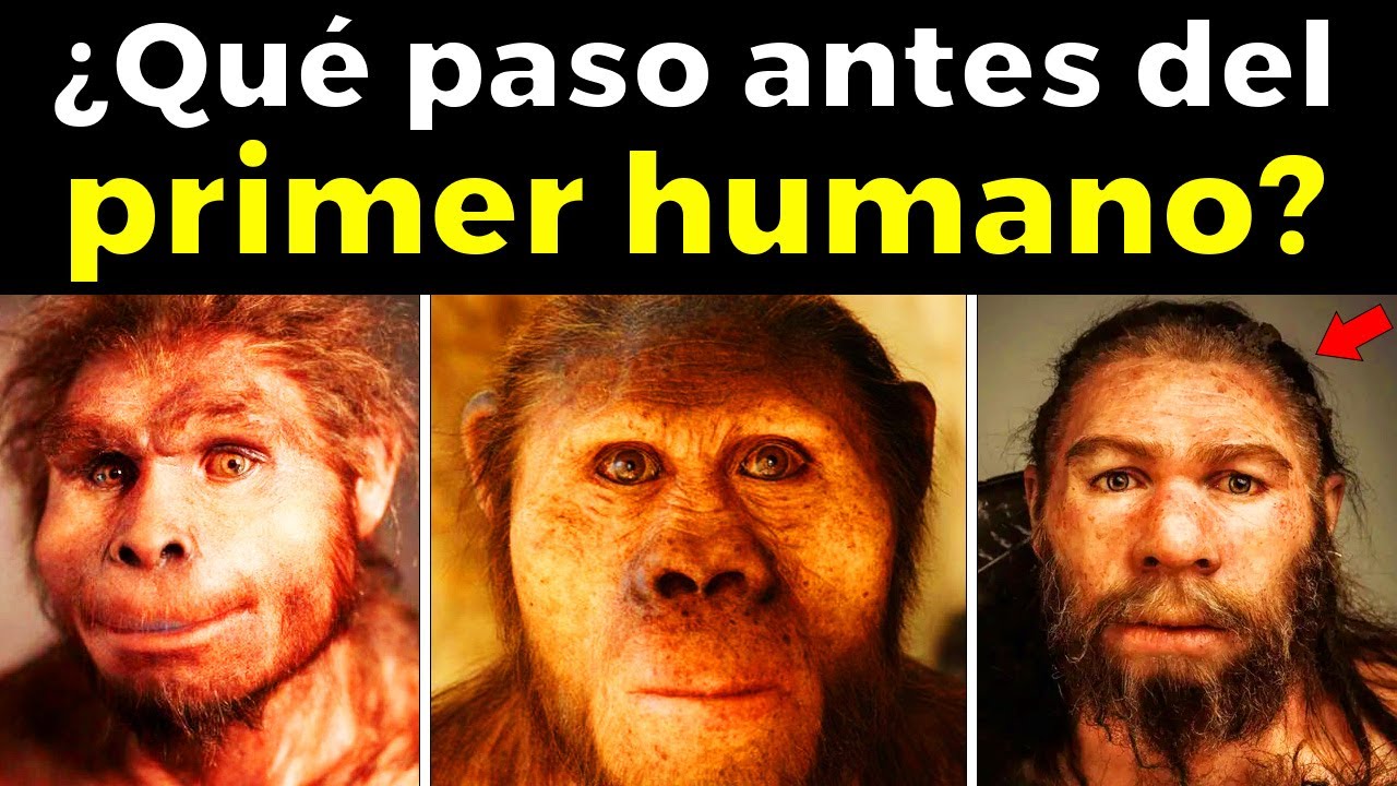 El verdadero origen del ser humano