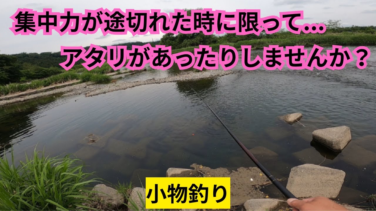 ただ、ひたすらウキが沈むのを待つ！その瞬間まで全神経を集中させるも...