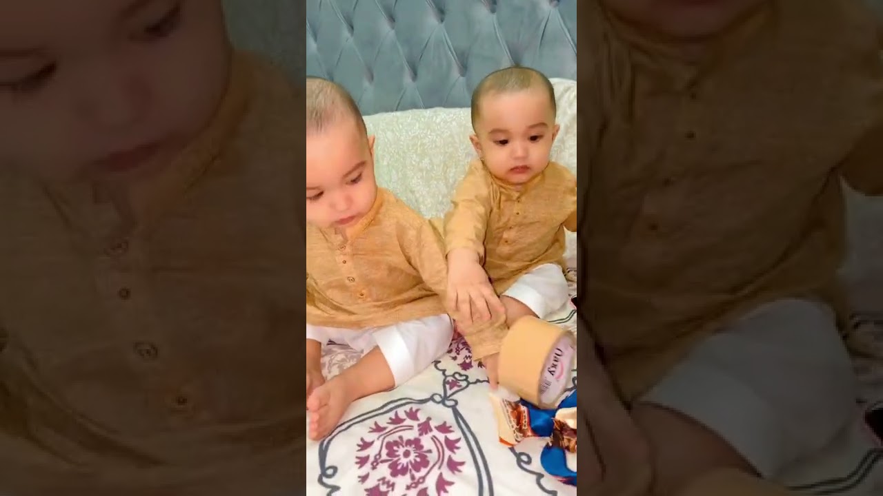 Funny twins fight 