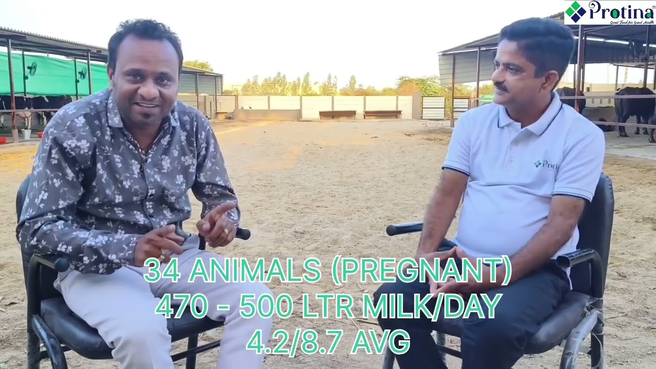 PODCAST WITH ANKITBHAI SONI JAGDISH DAIRY FARM OWNER  PROTINA FEEDBACK #trending #shorts #cowvideos