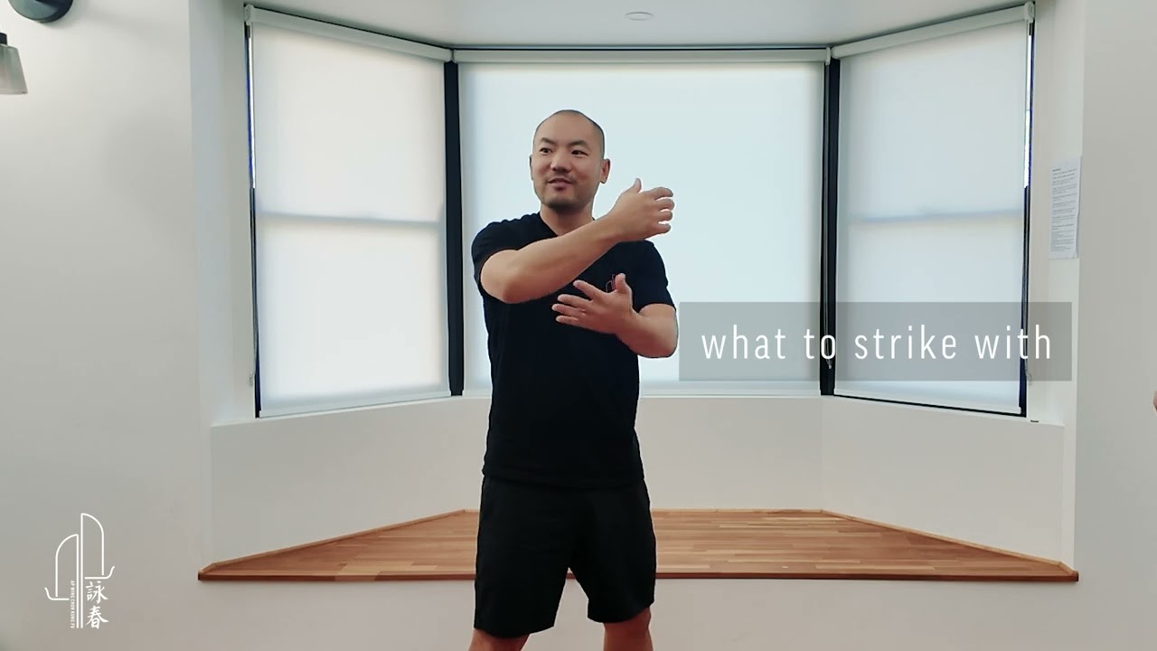 Wing Chun - Striking Fundamentals Workshop Highlights