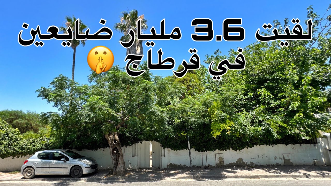 في قرطاج فيلا على مساحة 1075 متر مربع تتباع بنصف قيمة العقار الحقيقية