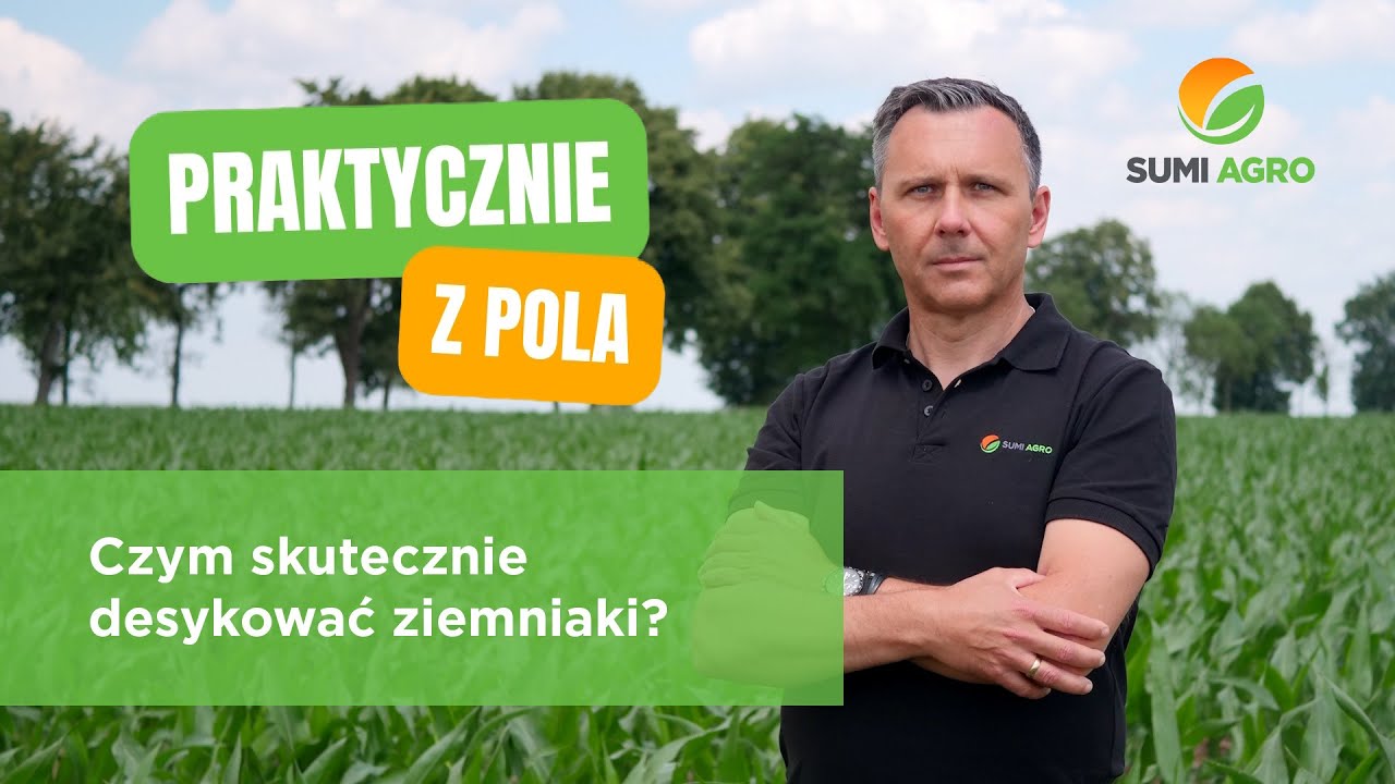 Czym skutecznie desykować ziemniaki?