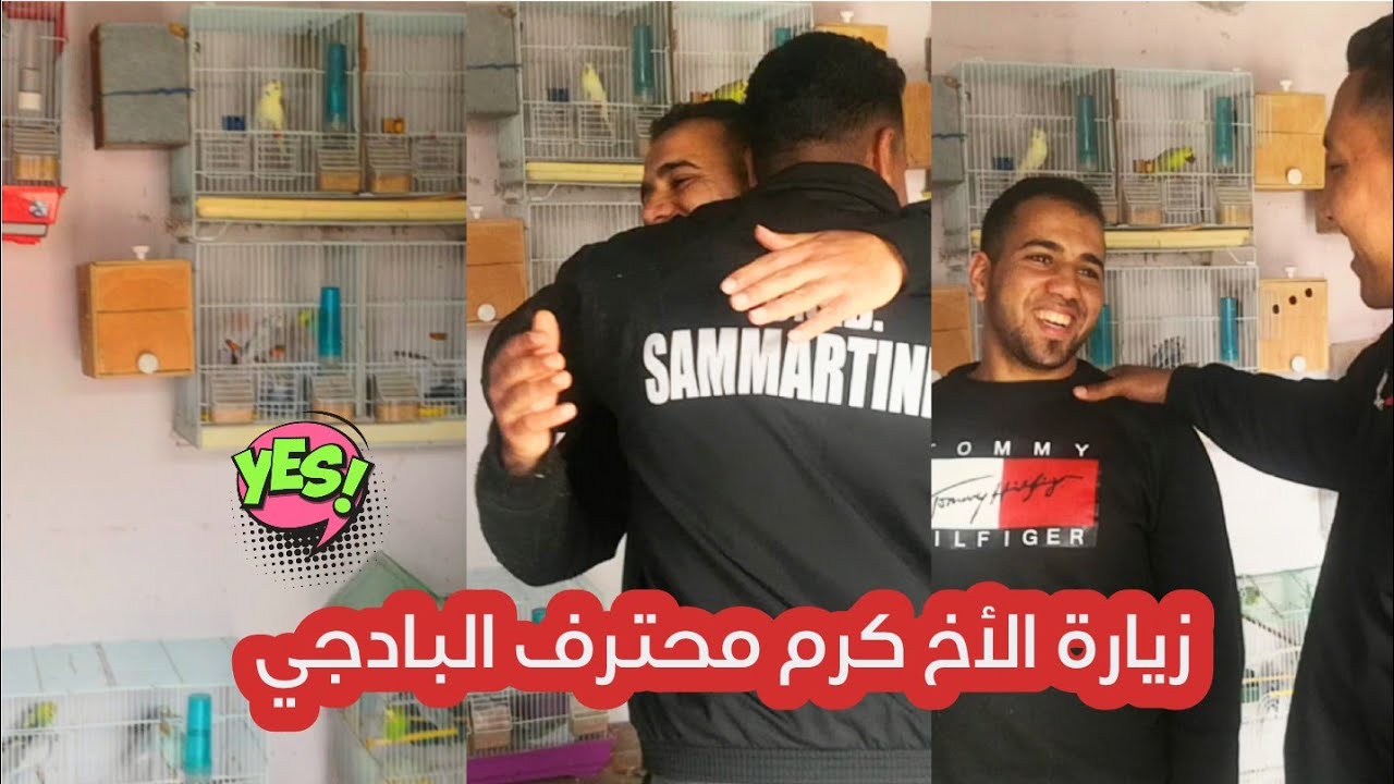 أكبر غرفة انتاج البادجي في المغرب ، إنتاج البيروش بجميع ألوانه تبارك الله  ❤️