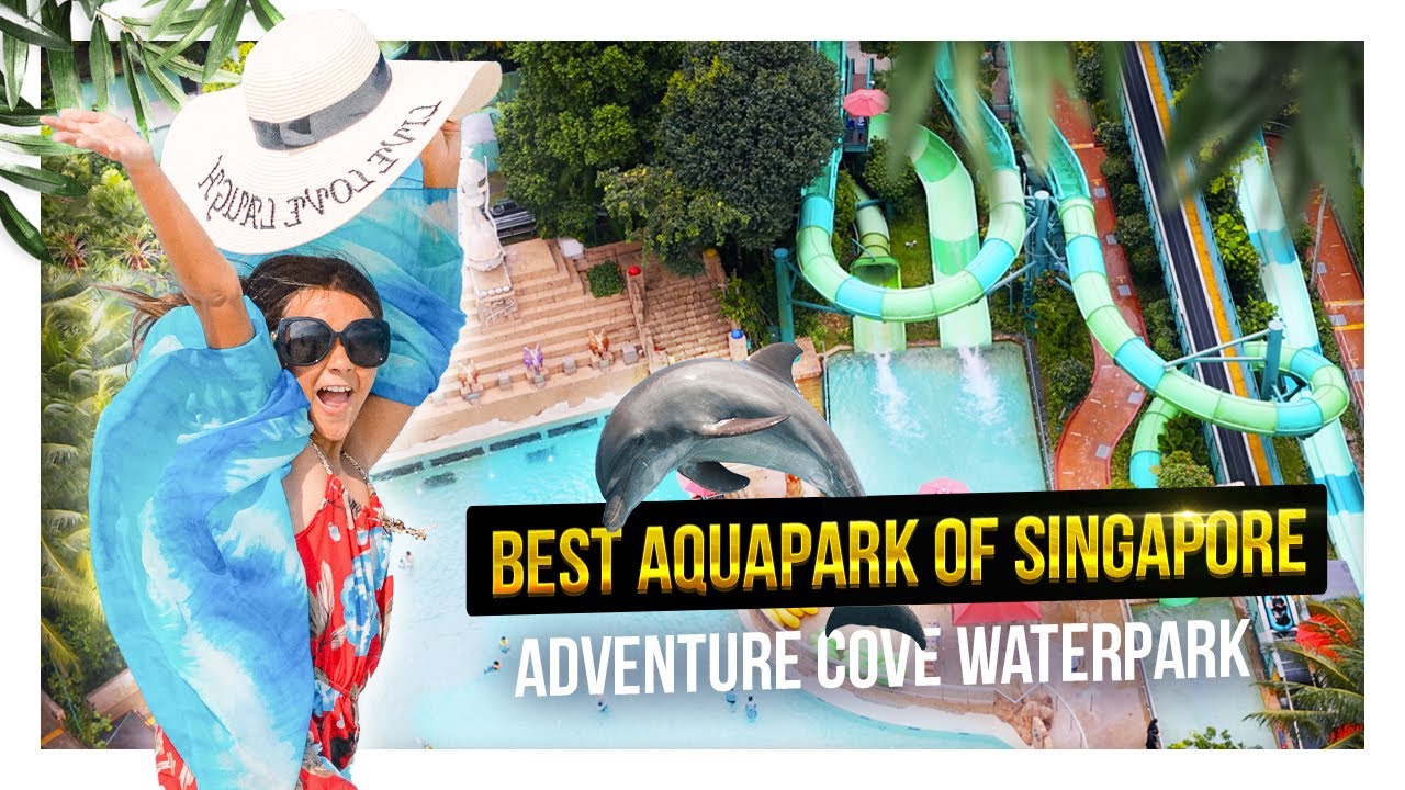 Чем заняться в Сингапуре: аквапарк Adventure Cove