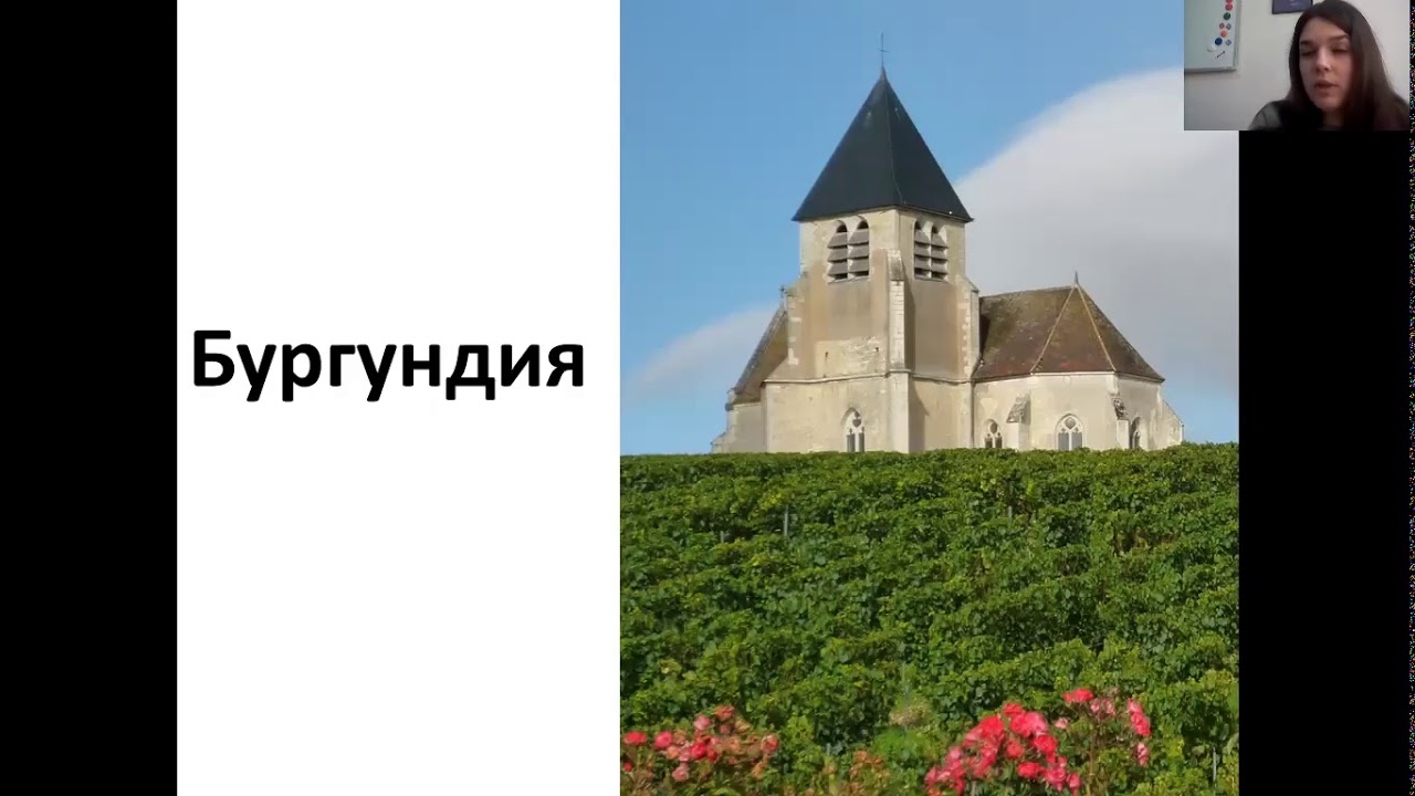 Виноделие: Франция. Бургундия