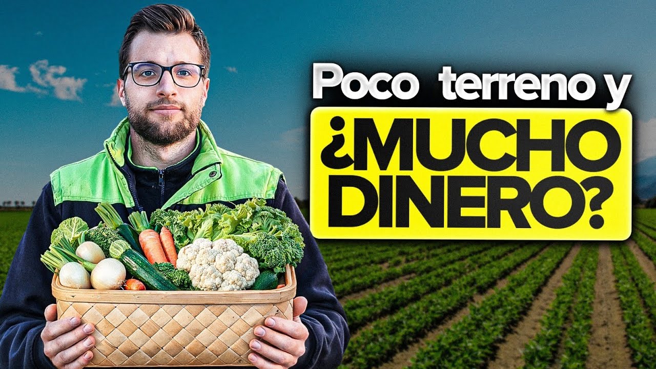🏆 Los 10 Mejores CULTIVOS para Parcelas PEQUEÑAS 