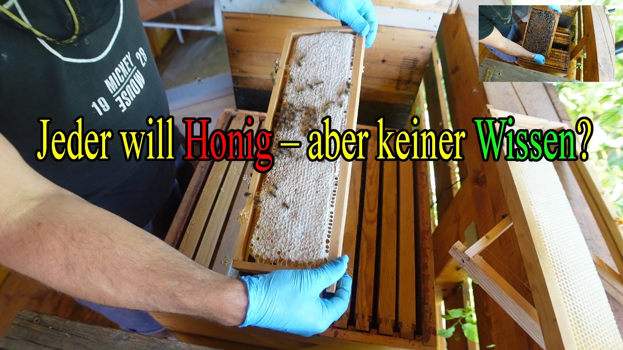 Imkern im Mai 10.05.2025  Us Dadant  12 es läuft.  Besser imkern beginnt mit besserem Denken!