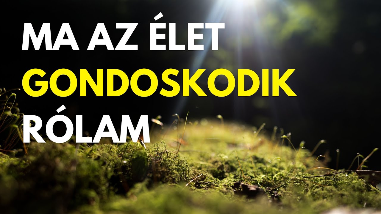 Ma minden tökéletesen bontakozik ki | Reggeli pozitív megerősítések egy erőteljes napért