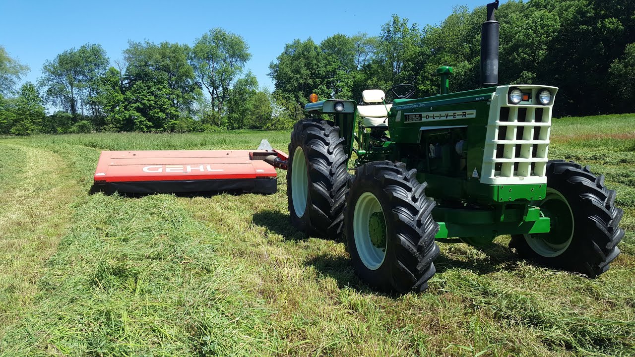 Oliver 1655 Mows 1st Cutting
