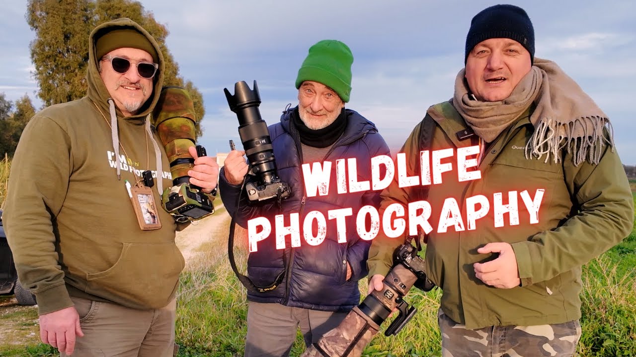 Wildlife Photography  🦉 La bellezza nascosta della natura #wildlifephotography