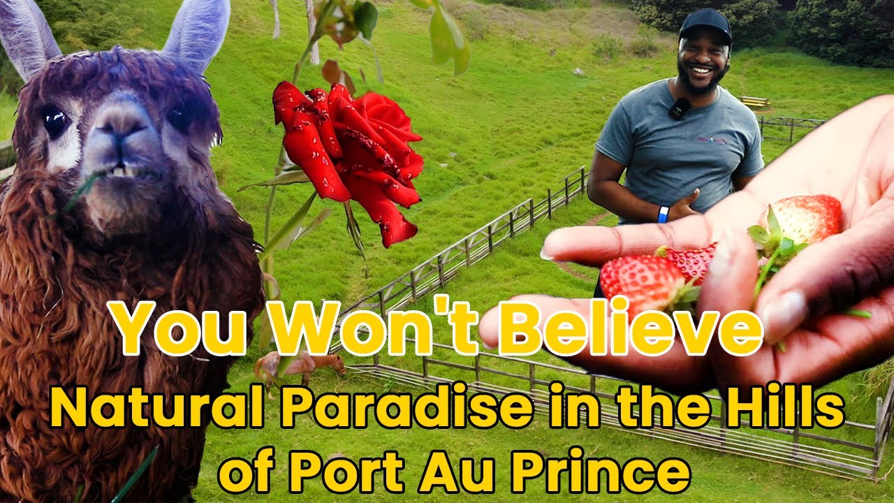 Visiting Wynne Farm Ecological Reserve, Natural Paradise - Kenscoff, Haiti - SeeJeanty