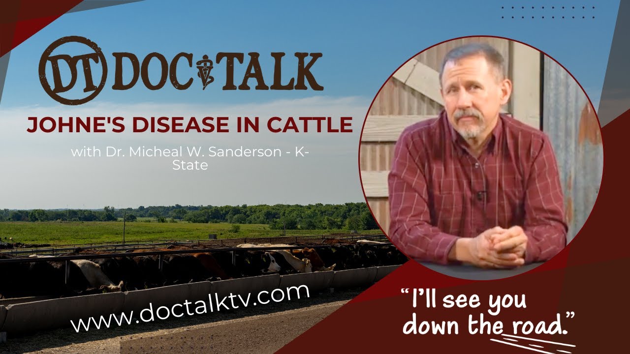 DocTalk Ep 163 - Johne's Disease in Cattle