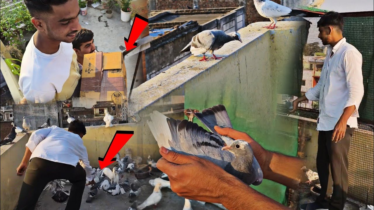 Ye Dubaj 🕊️ He Yaa JungaLi 😂