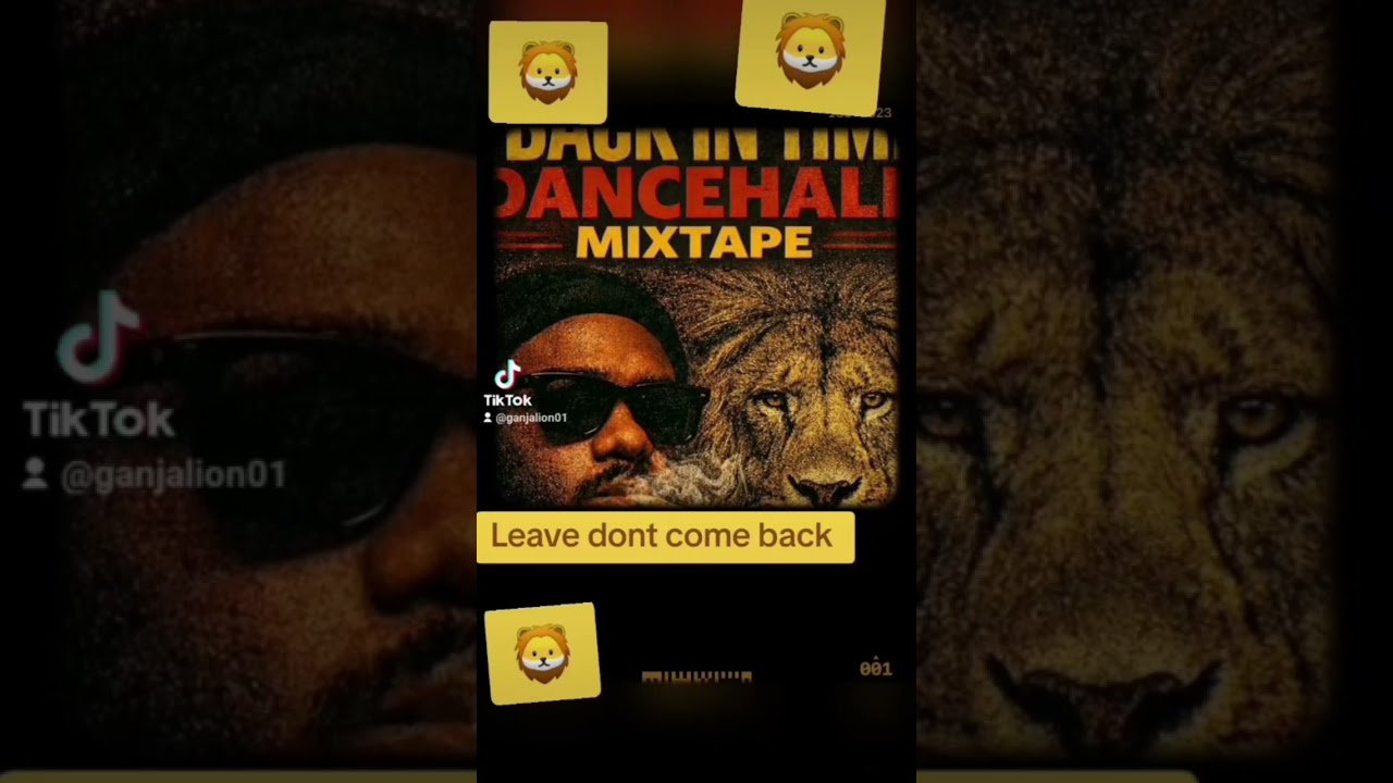 Jah VR Goldenlion_Rub a dub style_old skool style_Leave dont come back 