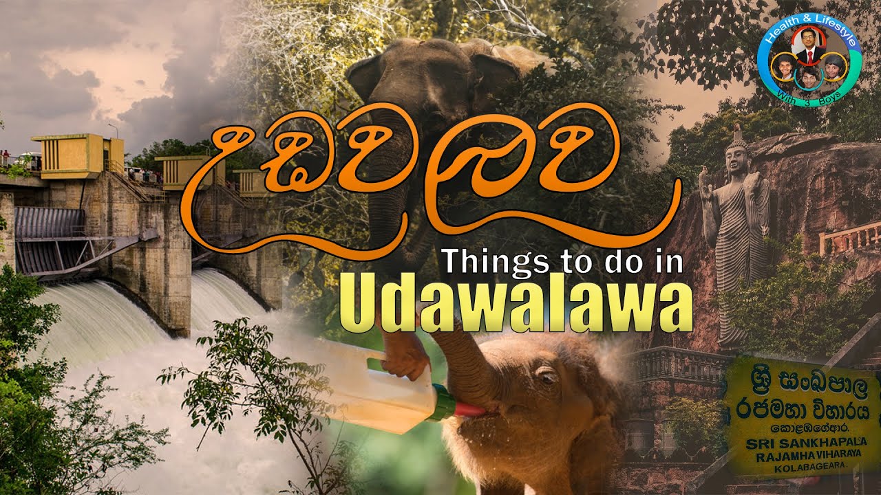 Things to do in Udawalawa  |  Birds Paradise Inn | උඩවලව