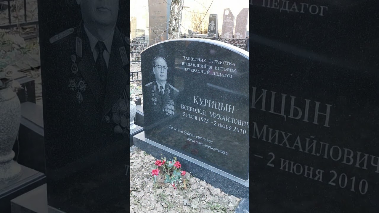 Вот вам Защитник отечества. Курицын. #shorts