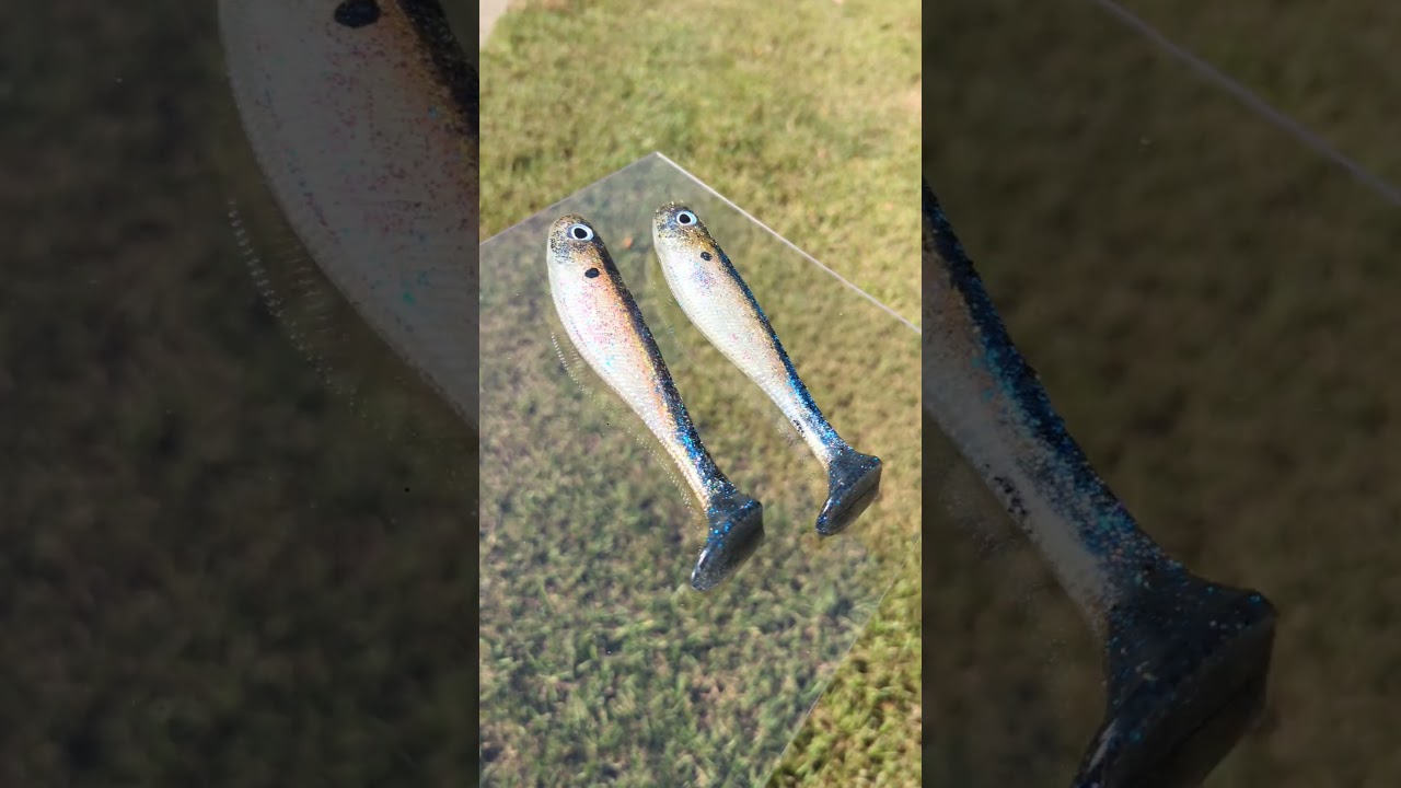 First attempt at Blueback Herring. A little too much blue and flake overall, but not bad.