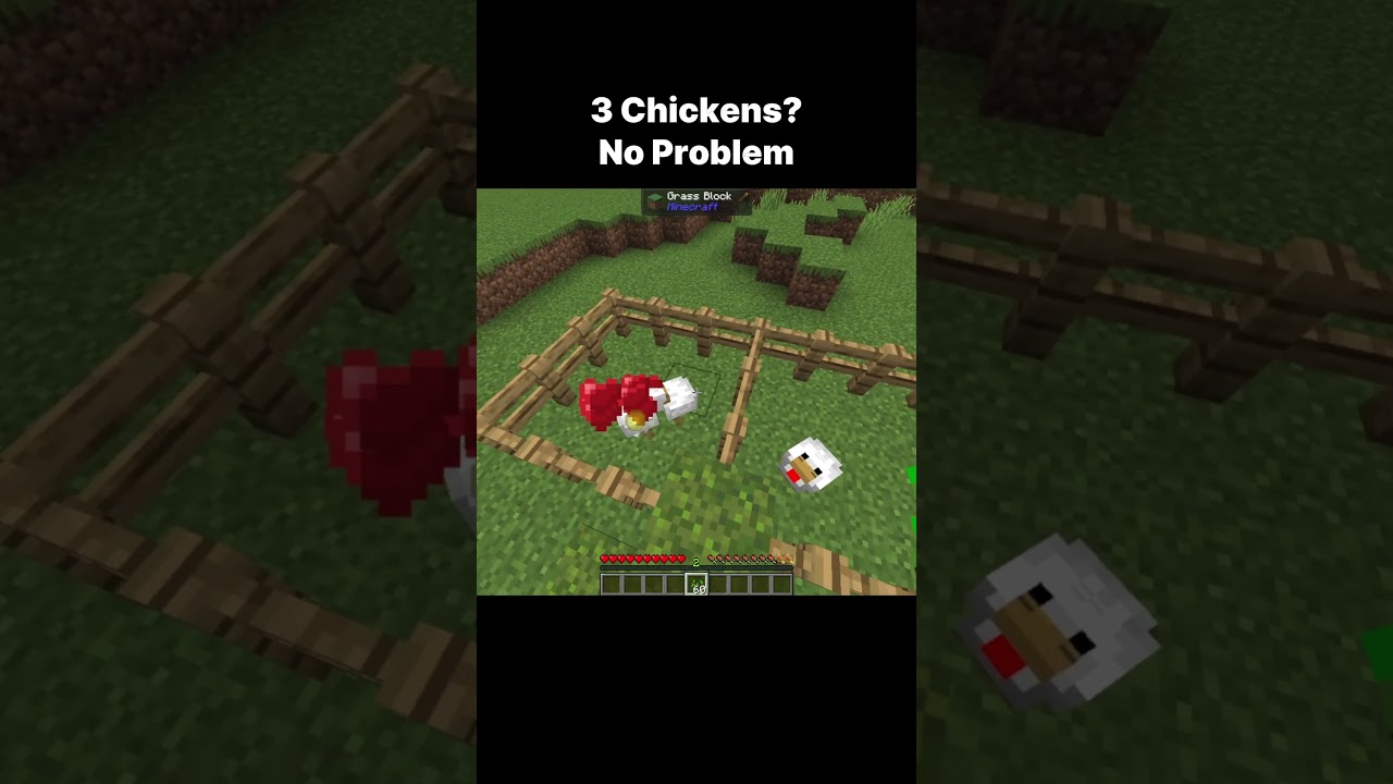 2 Chickens? No Problem  #minecraft