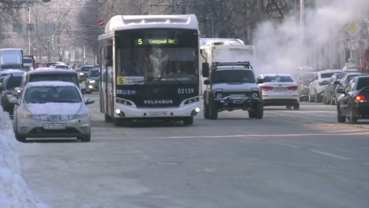 Мнения о том, как должен быть организован проект метробуса, разошлись