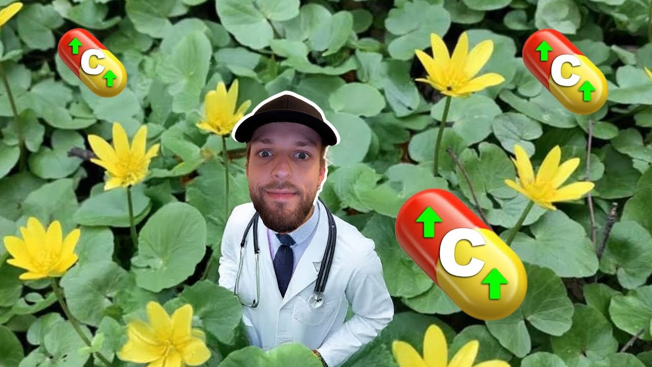 VITAMIN C-BOOSTER SCHARBOCKSKRAUT