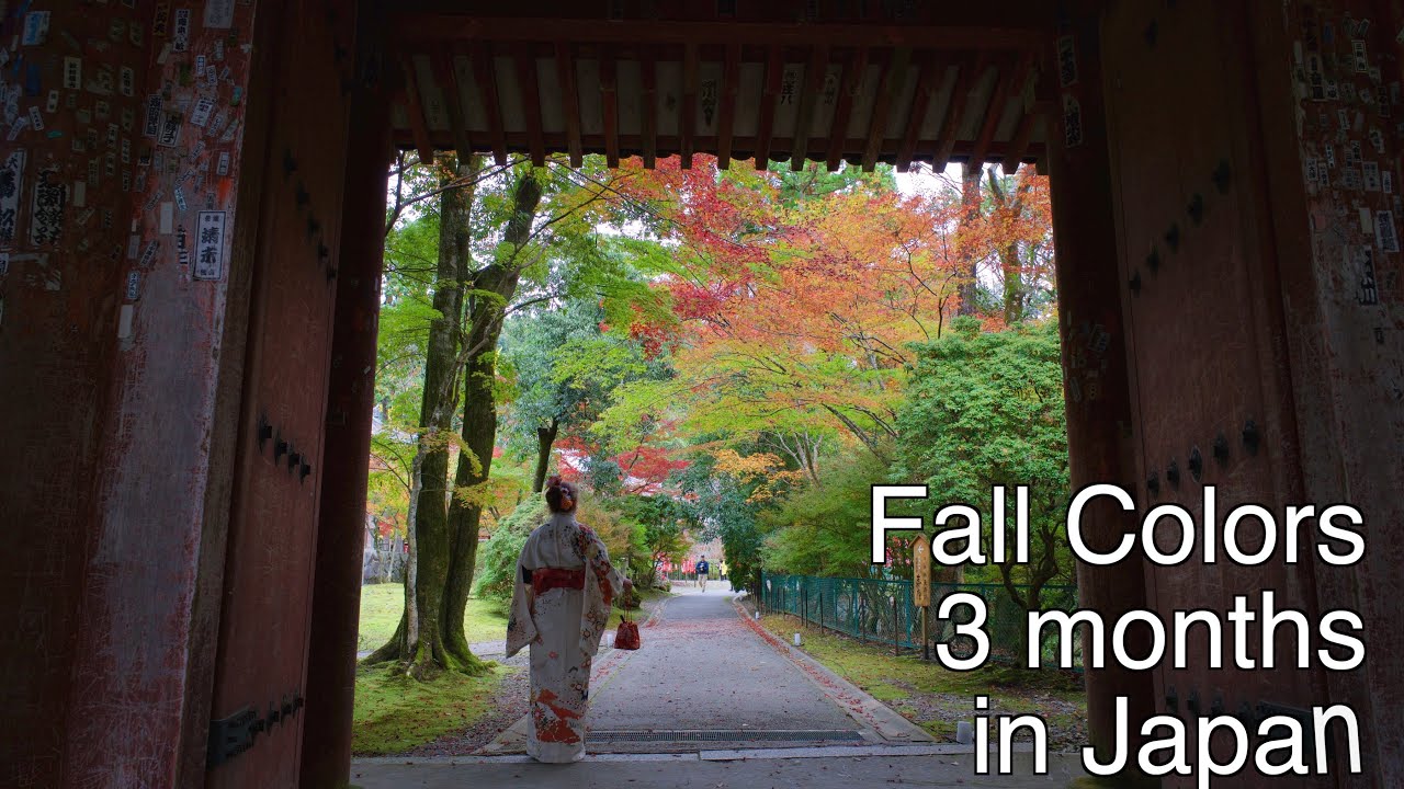 Fall Colors in Japan - 3 month tour