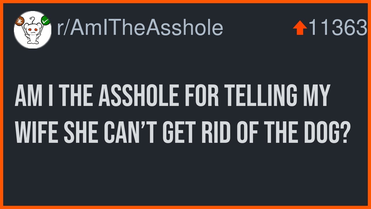 Am I The Asshole For Telling My Wife She Can’T Get Rid Of The Dog?