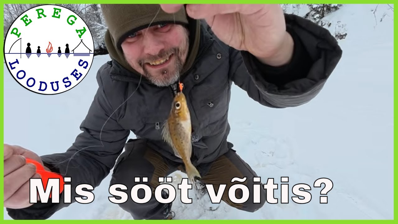 Pole tõuku ega sääsevastset? Testime alternatiivseid söötasid!