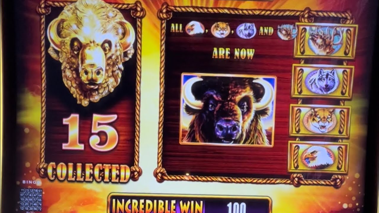 $20k JACKPOT WIN! ALL 15 HEADS 🤩 #jackpot #casino