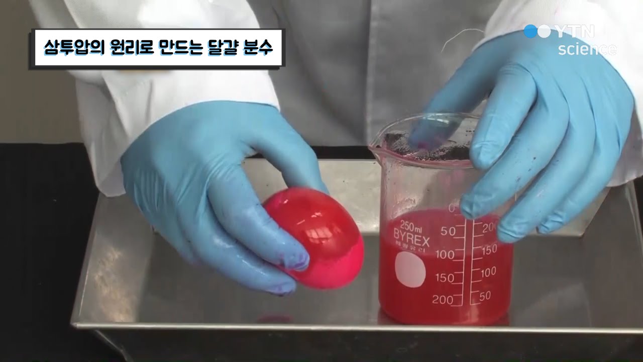 삼투압의 원리로 만드는 달걀 분수 / YTN 사이언스