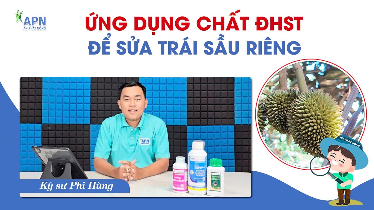 APN - ỨNG DỤNG CHẤT ĐIỀU HÒA SINH TRƯỞNG ĐỂ SỬA TRÁI SẦU RIÊNG