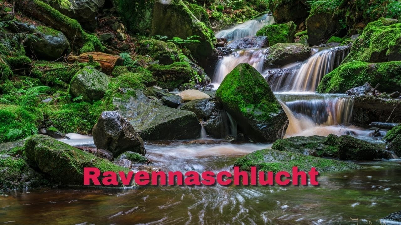 🏞️ 𝑹𝒂𝒗𝒆𝒏𝒏𝒂𝒔𝒄𝒉𝒍𝒖𝒄𝒉𝒕 𝒃𝒆𝒊 𝑩𝒓𝒆𝒊𝒕𝒏𝒂𝒖 𝒊𝒎 𝑺𝒄𝒉𝒘𝒂𝒓𝒛𝒘𝒂𝒍𝒅