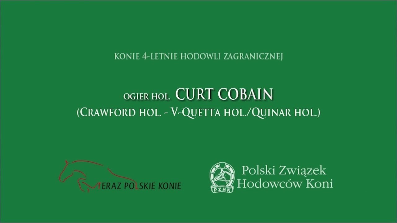Ogier CURT COBAIN hol.