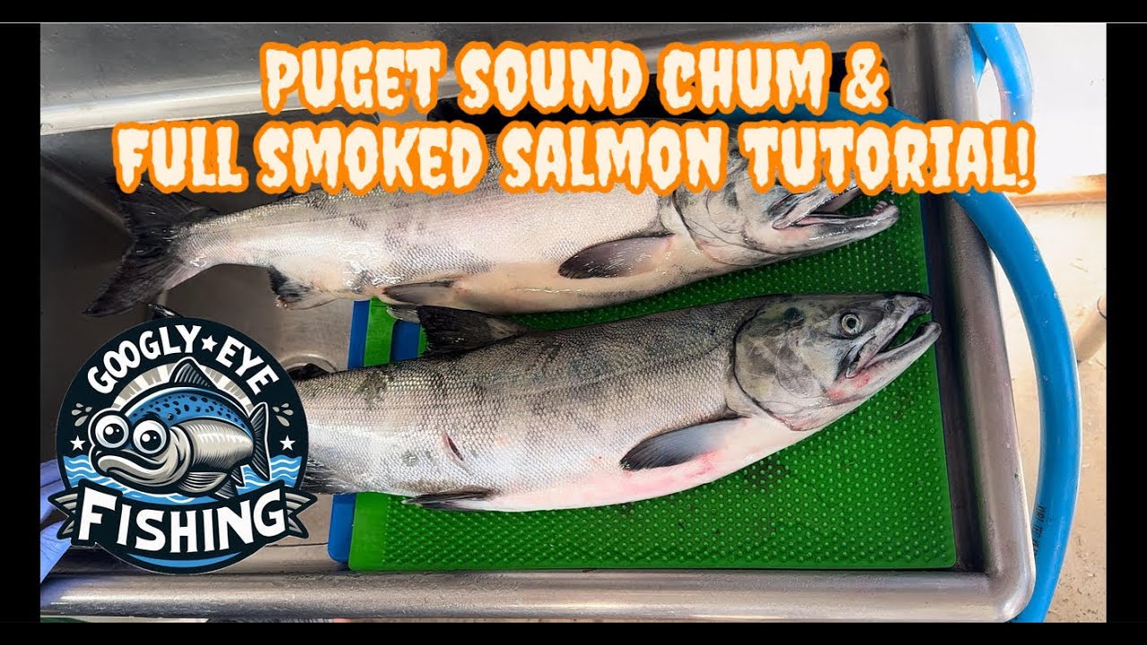 Puget Sound Chum & Full Smoked Salmon Tutorial!