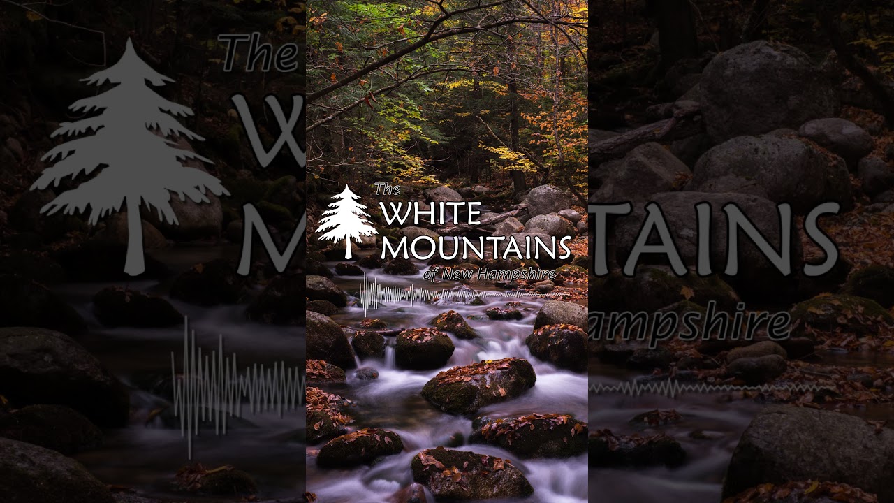 🎧 White Mtn. Nat'l Forest: A Walk Up The Wonalancet [Virtual Hike]