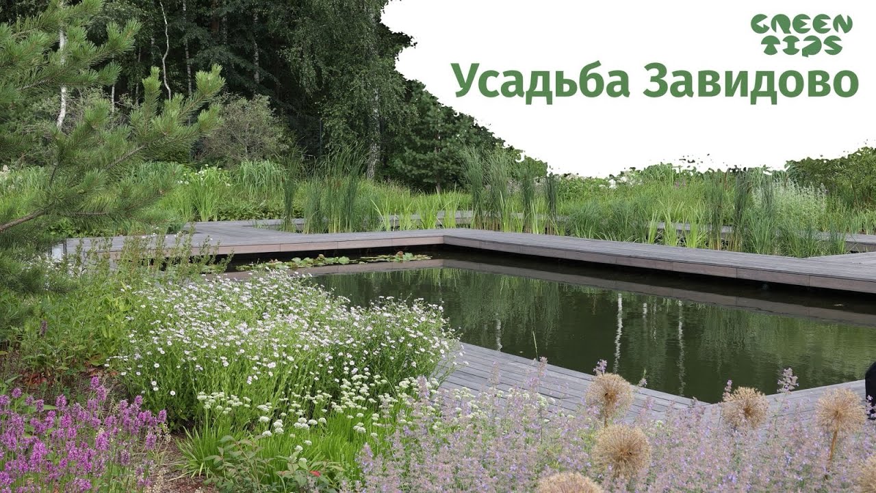 УСАДЬБА ЗАВИДОВО. Сад Натальи Борисовой