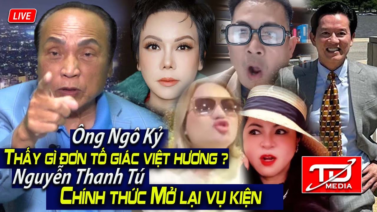Thấy gì đơn tố giác Việt Hương ? Nguyễn Thanh Tú khởi động lại vụ kiện - Ngô Kỷ